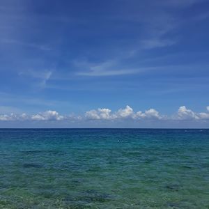 Meet your Posher, Mashell